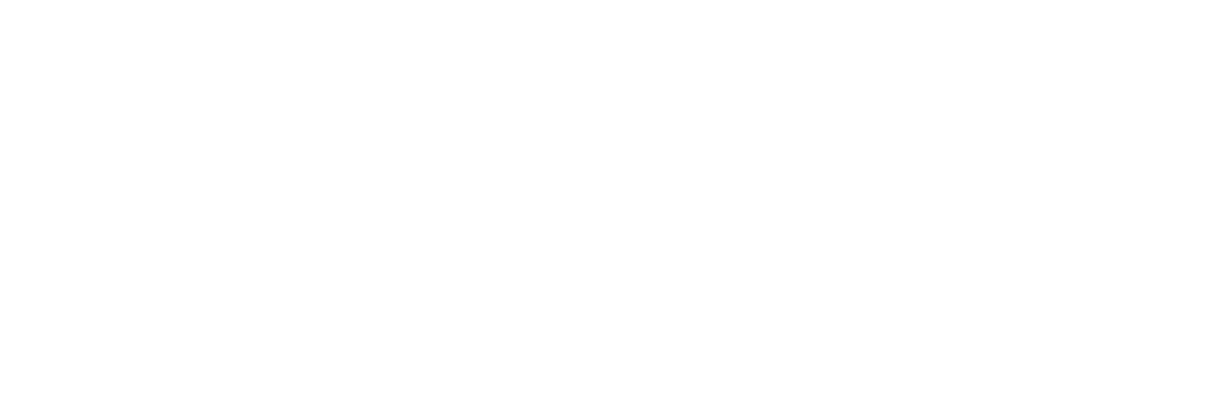 Logo EDV Baumgarten